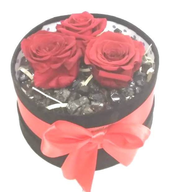  3 Rosas Preservadas en Caja Redonda